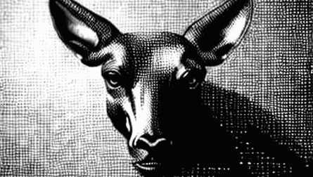 Wisconsin Governor Race: The State-Level Crypto Policy Binary Option Markets Are Ignoring