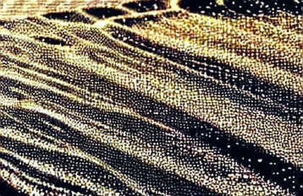 The 83% Illusion: When On-Chain Governance Votes Mask Centralization