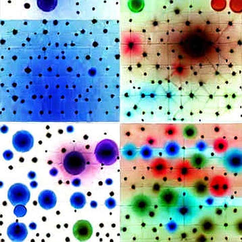 The Empty Input Paradox: Why Data-Starved Frameworks Are the Bull Market's Most Dangerous Blind Spot The Empty Input Paradox: Why Data-Starved Frameworks Are the Bull Market's Most Dangerous Blind Spot