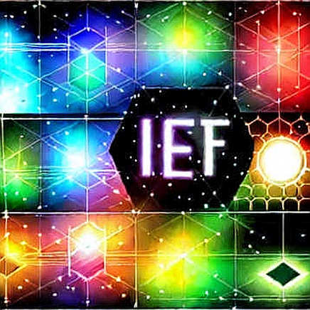 The Liquidity Phantom: Why ETF Inflows Are Not the Signal You Think The Liquidity Phantom: Why ETF Inflows Are Not the Signal You Think