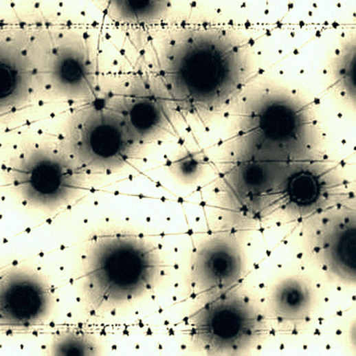 The AI Pricing War: A Forensic Dissection of What Crypto's Layer2 Provers Are Getting Wrong