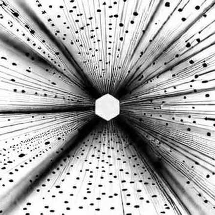 The Fed's 44.4% Riddle: Why Crypto Markets Should Fear the Coin Toss, Not the Rate