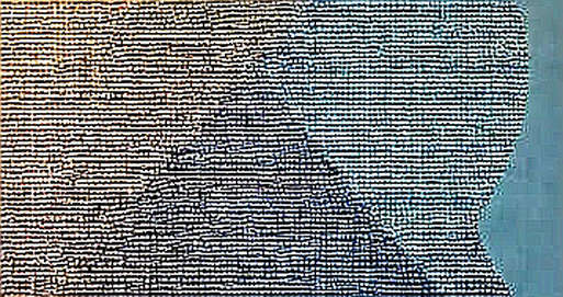 The Olise Paradox: When a Single Assist Inflates a Token’s Worth – and Reality