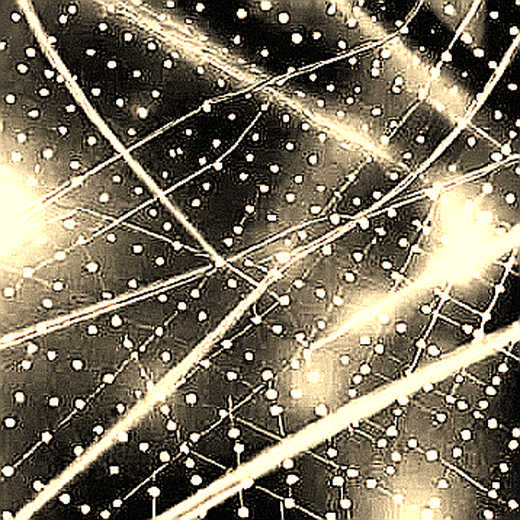 The Reset Signal: Decoding OpenAI's Codex Tease Before the Market Does