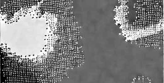 AI Bubble, Broken Axioms, and the Bitcoin Liquidity Play