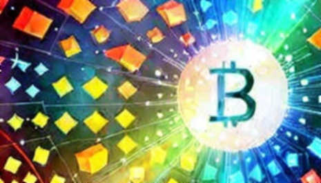 The Premise Collapses: On-Chain Forensics of Ukraine's Cabinet Reshuffle Signal Crypto Hedge Moves