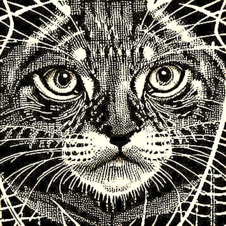 When Crypto Media Covers Oracle: A Forensic Dissection of the 'Credit Rating Wall' Narrative